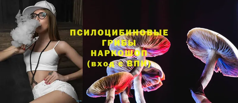 mega   Барабинск  Галлюциногенные грибы Magic Shrooms 